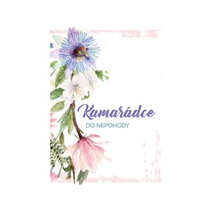 Přání kamarádce do nepohody