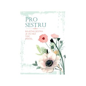 Přání pro báječnou sestřičku