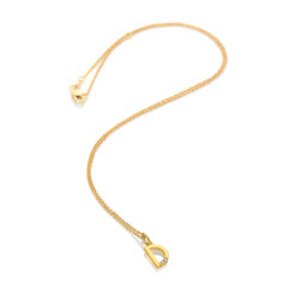 Pozlacený náhrdelník Hot Diamonds x Jac Jossa Soul D DP942