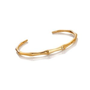 Hot Diamonds Pozlacený stříbrný náramek HD X Golden Edit Hope DC220